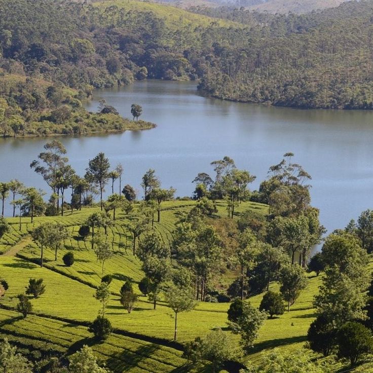 Places to Visit in Kerala - Periyar Wildlife Sanctuary in Thekkady